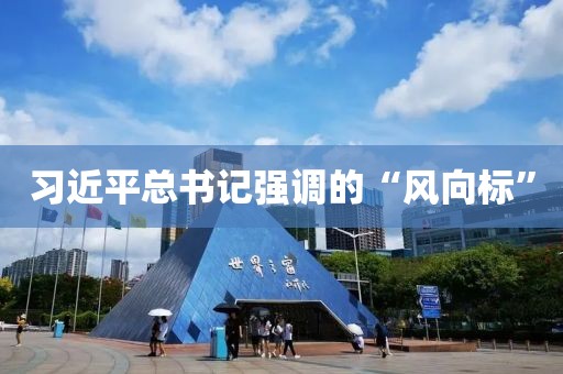 習近平總書記強調的“風向標”