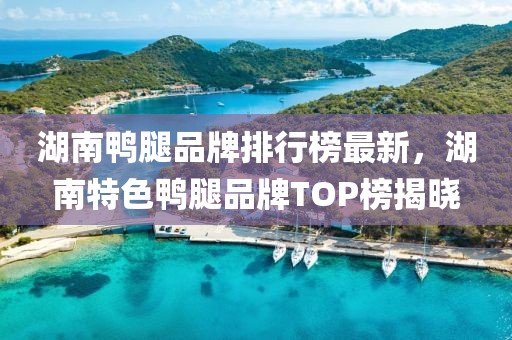 湖南鴨腿品牌排行榜最新，湖南特色鴨腿品牌TOP榜揭曉