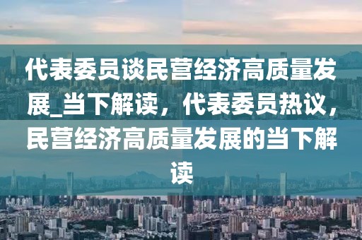 代表委員談民營經濟高質量發展_當下解讀，代表委員熱議，民營經濟高質量發展的當下解讀