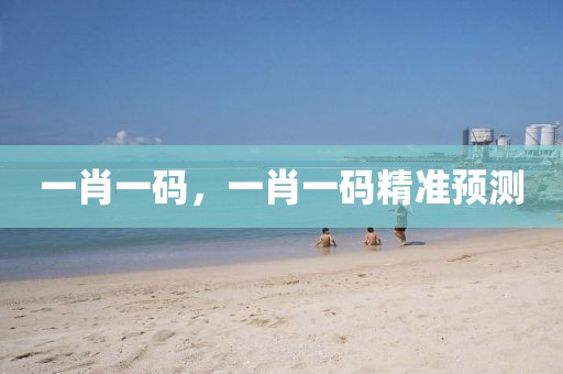 一肖一碼，一肖一碼精準預測