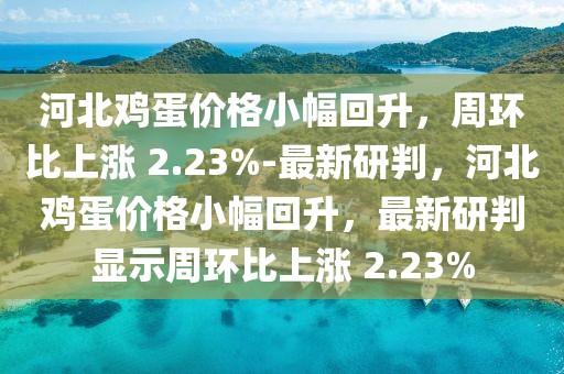 河北雞蛋價格小幅回升，周環比上漲 2.23%-最新研判，河北雞蛋價格小幅回升，最新研判顯示周環比上漲 2.23%