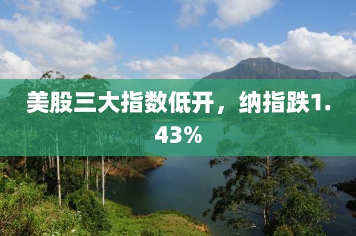 美股三大指數低開，納指跌1.43%