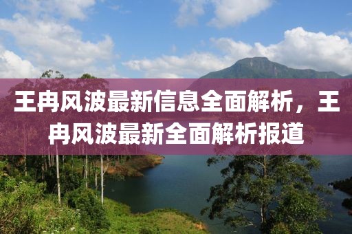 王冉風波最新信息全面解析，王冉風波最新全面解析報道
