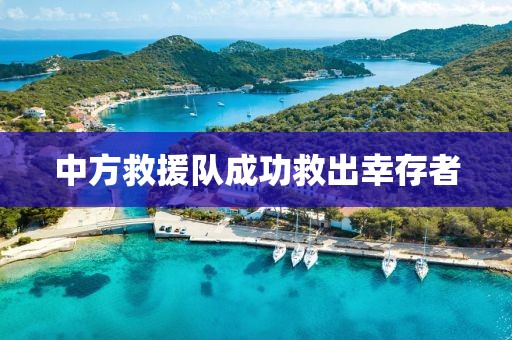 中方救援隊成功救出幸存者