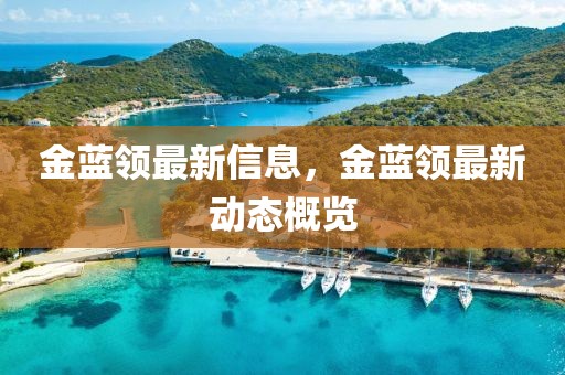 金藍領最新信息，金藍領最新動態概覽