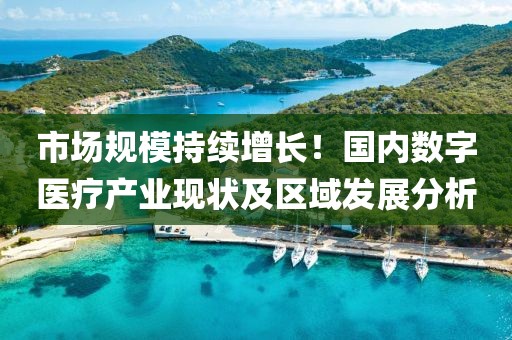 市場規模持續增長！國內數字醫療產業現狀及區域發展分析