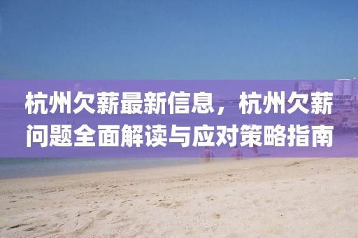杭州欠薪最新信息，杭州欠薪問題全面解讀與應對策略指南