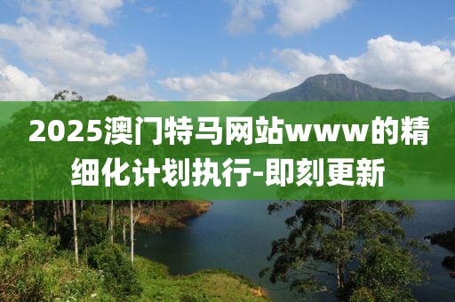 2025澳門特馬網站www的精細化計劃執行-即刻更新