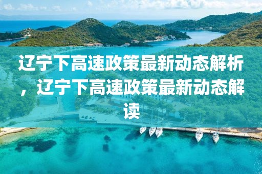 遼寧下高速政策最新動態解析，遼寧下高速政策最新動態解讀
