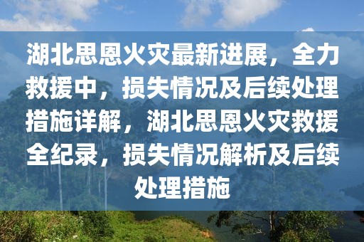 湖北思恩火災最新進展，全力救援中，損失情況及后續處理措施詳解，湖北思恩火災救援全紀錄，損失情況解析及后續處理措施