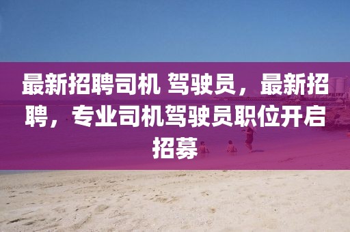 最新招聘司機 駕駛員，最新招聘，專業司機駕駛員職位開啟招募