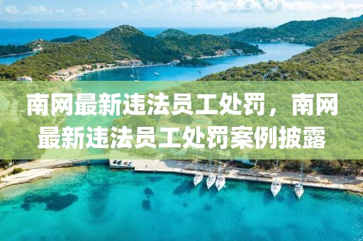 南網(wǎng)最新違法員工處罰，南網(wǎng)最新違法員工處罰案例披露