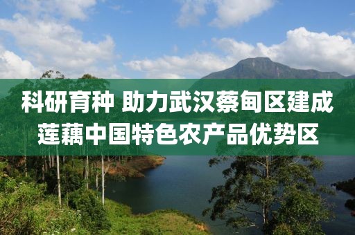 科研育種 助力武漢蔡甸區(qū)建成蓮藕中國(guó)特色農(nóng)產(chǎn)品優(yōu)勢(shì)區(qū)