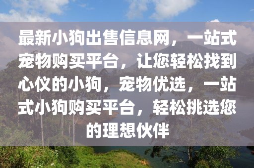 最新小狗出售信息網，一站式寵物購買平臺，讓您輕松找到心儀的小狗，寵物優選，一站式小狗購買平臺，輕松挑選您的理想伙伴
