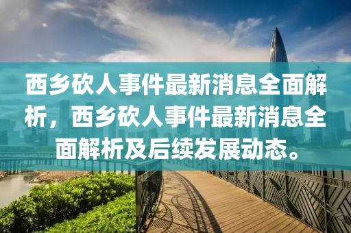 西鄉砍人事件最新消息全面解析，西鄉砍人事件最新消息全面解析及后續發展動態。