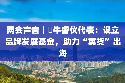 兩會聲音｜?牛睿儀代表：設(shè)立品牌發(fā)展基金，助力“冀貨”出海