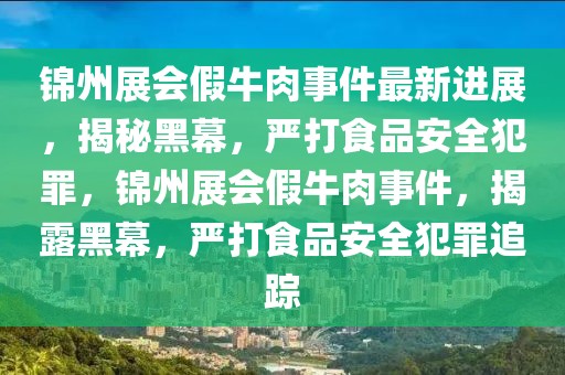 錦州展會假牛肉事件最新進展，揭秘黑幕，嚴打食品安全犯罪，錦州展會假牛肉事件，揭露黑幕，嚴打食品安全犯罪追蹤
