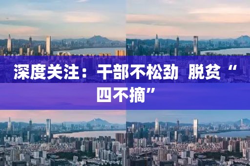 深度關注：干部不松勁  脫貧“四不摘”