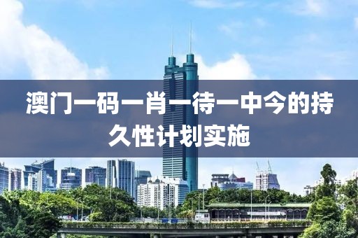 澳門一碼一肖一待一中今的持久性計劃實施