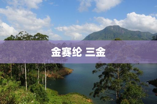 金賽綸 三金