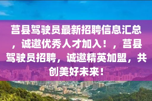 莒縣駕駛員最新招聘信息匯總，誠邀優(yōu)秀人才加入！，莒縣駕駛員招聘，誠邀精英加盟，共創(chuàng)美好未來！