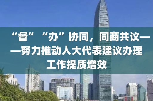“督”“辦”協同，同商共議——努力推動人大代表建議辦理工作提質增效