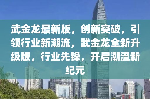武金龍最新版，創新突破，引領行業新潮流，武金龍全新升級版，行業先鋒，開啟潮流新紀元