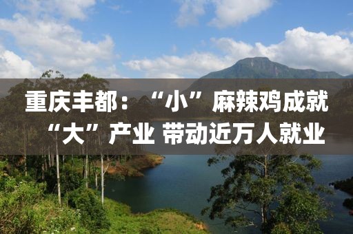 重慶豐都：“小”麻辣雞成就“大”產(chǎn)業(yè) 帶動近萬人就業(yè)
