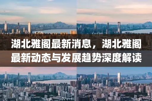 湖北雅閣最新消息，湖北雅閣最新動態與發展趨勢深度解讀