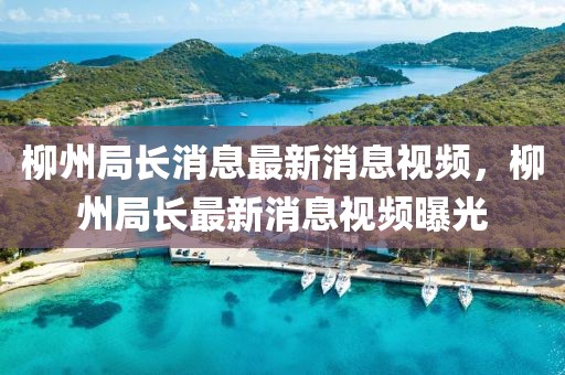 柳州局長消息最新消息視頻，柳州局長最新消息視頻曝光