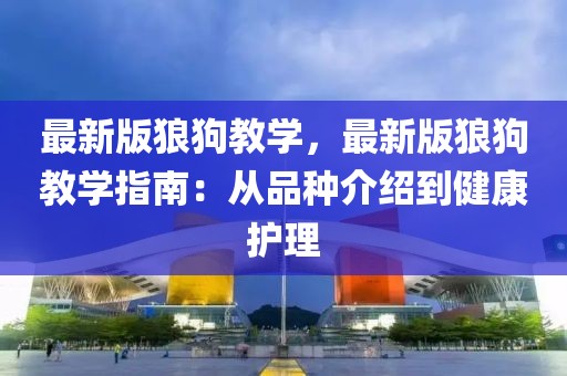 最新版狼狗教學，最新版狼狗教學指南：從品種介紹到健康護理