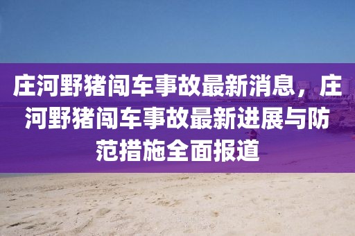 莊河野豬闖車事故最新消息，莊河野豬闖車事故最新進展與防范措施全面報道