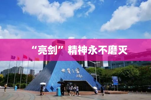 “亮劍”精神永不磨滅