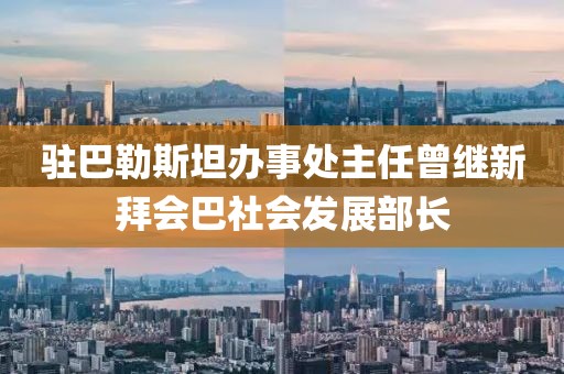 駐巴勒斯坦辦事處主任曾繼新拜會巴社會發展部長