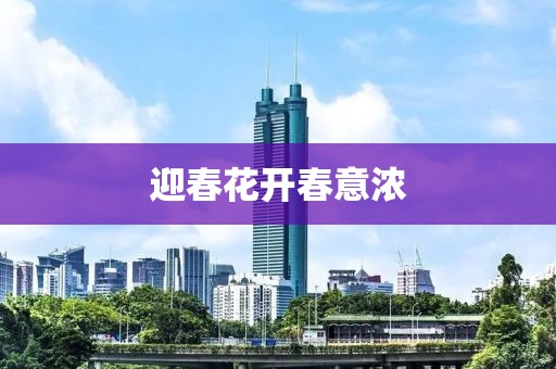 迎春花開春意濃