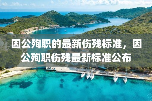 因公殉職的最新傷殘標準，因公殉職傷殘最新標準公布