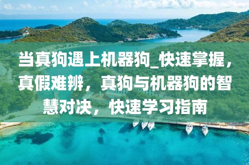 當真狗遇上機器狗_快速掌握，真假難辨，真狗與機器狗的智慧對決，快速學習指南