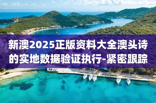 新澳2025正版資料大全澳頭詩的實地數據驗證執行-緊密跟蹤