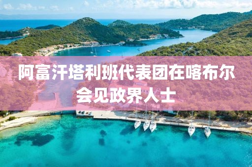 阿富汗塔利班代表團在喀布爾會見政界人士
