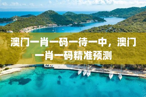 澳門一肖一碼一待一中，澳門一肖一碼精準(zhǔn)預(yù)測