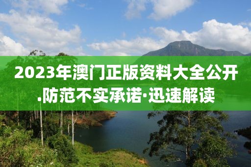 2023年澳門正版資料大全公開.防范不實承諾·迅速解讀