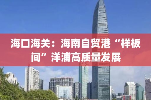海口海關：海南自貿港“樣板間”洋浦高質量發展