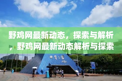 野雞網最新動態，探索與解析，野雞網最新動態解析與探索