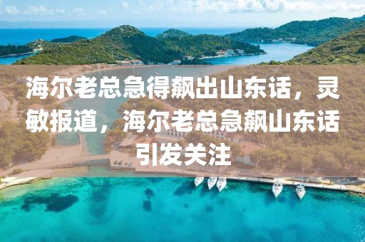 海爾老總急得飆出山東話，靈敏報道，海爾老總急飆山東話引發關注