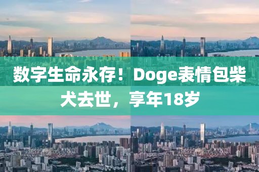 數字生命永存！Doge表情包柴犬去世，享年18歲