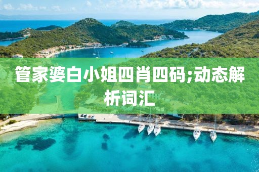 管家婆白小姐四肖四碼;動態解析詞匯