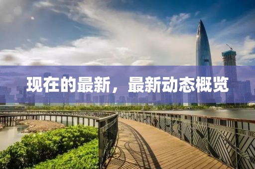 現在的最新，最新動態概覽