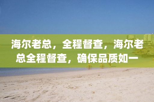 海爾老總，全程督查，海爾老總全程督查，確保品質如一