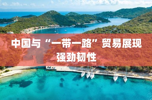 中國與“一帶一路”貿易展現強勁韌性