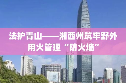 法護(hù)青山——湘西州筑牢野外用火管理“防火墻”